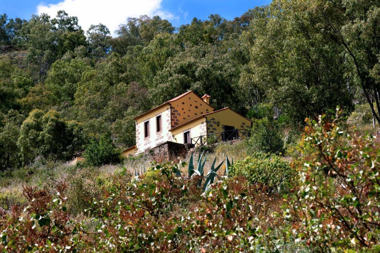 Casa Rural Las Caldereras Teror Eksteriør bilde