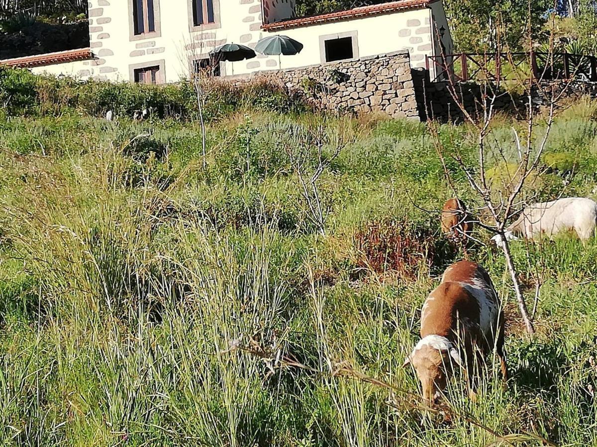 Casa Rural Las Caldereras Teror Eksteriør bilde