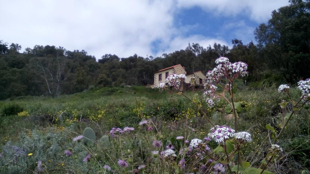Casa Rural Las Caldereras Teror Eksteriør bilde